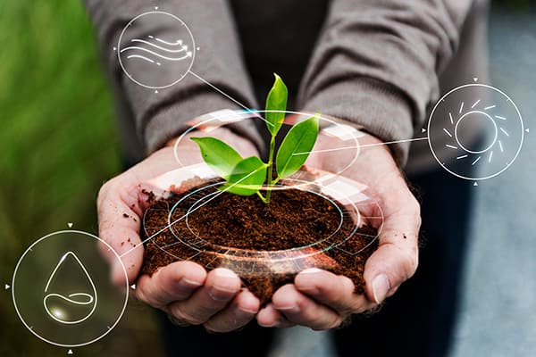 Alimentos balanceados